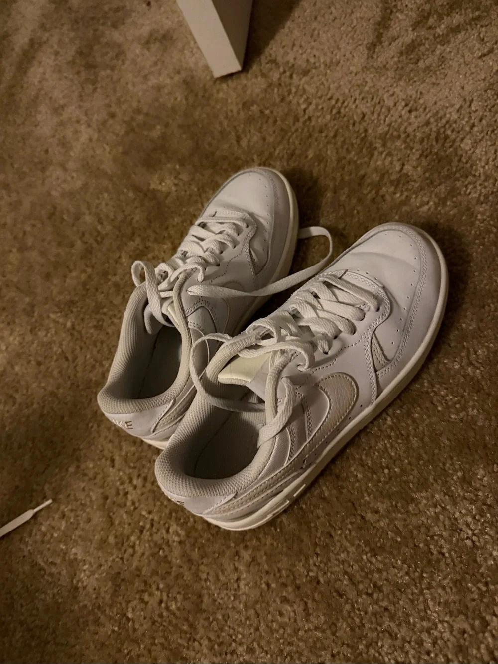 Nike Women’s White Low-Top Sneakers